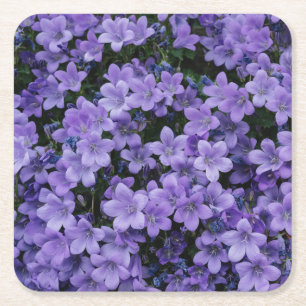 Dessous-de-verre Carré En Papier Belles fleurs violettes