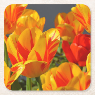 Dessous-de-verre Carré En Papier Belles tulipes orange et jaune