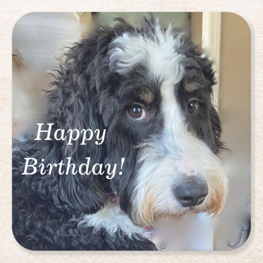 Dessous-de-verre Carré En Papier Bernedoodle mignon (Devant)