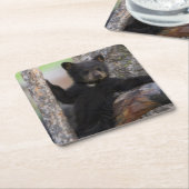 Dessous-de-verre Carré En Papier Black Bears Cub Lounge (Incliné)