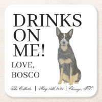 Blue Australian Cattledog Heeler Chien Mariage