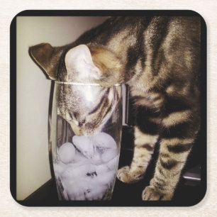 Dessous-de-verre Carré En Papier Boire le chat Thief de Shirley Taylor