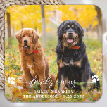 Dessous-de-verre Carré En Papier Boissons Sur Nous Open Bar Chien Photo Animaux Mar<br><div class="desc">Bois sur nous ! Ajoutez la touche finale à votre mariage avec ces dessous de verre de mariage photo personnalisés. Parfait pour votre mariage après la fête et la réception, et comme faveurs de mariage pour vos invités. Customisez ces dessous de verre de mariage de chien photo avec votre photo...</div>