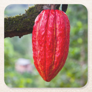 Dessous-de-verre Carré En Papier boîte de cacao rouge