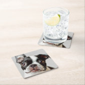 Dessous-de-verre Carré En Papier Boston Terrier (En situation)