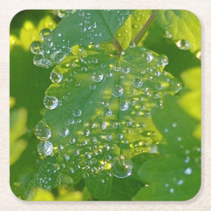 Dessous-de-verre Carré En Papier Boutons cool Sur Feuille Verte
