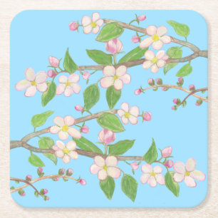 Dessous-de-verre Carré En Papier Branche en floraison de l'arbre Apple Sky Blue