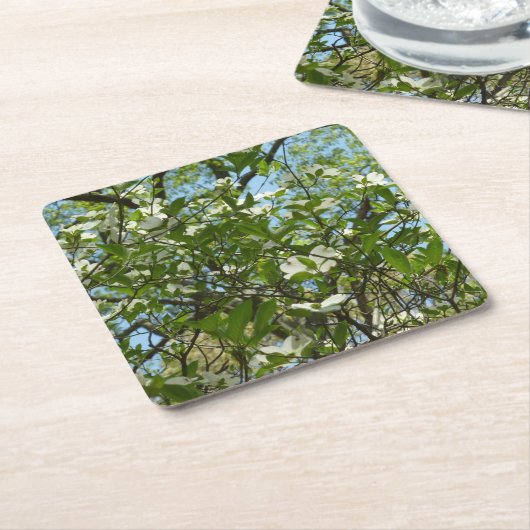 Dessous-de-verre Carré En Papier Branche of Dogwood Blossoms Spring Trees (Incliné)