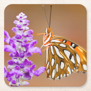 Dessous-de-verre Carré En Papier Bright Orange Gulf Fritillary Butterfly