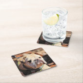 Dessous-de-verre Carré En Papier Bulldog (En situation)