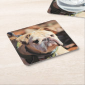Dessous-de-verre Carré En Papier Bulldog (Incliné)