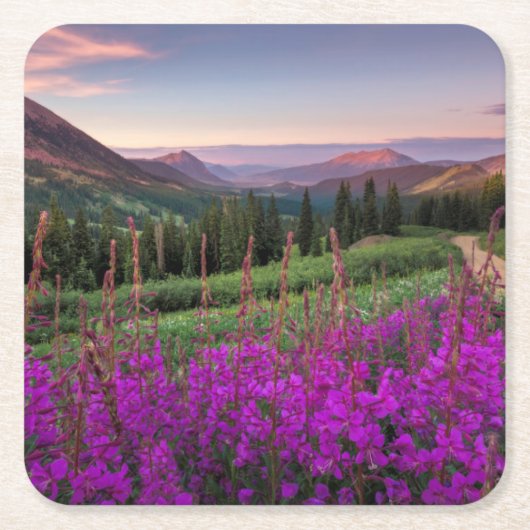 Dessous-de-verre Carré En Papier Butte crêtée du lever de soleil | de fleur (Devant)