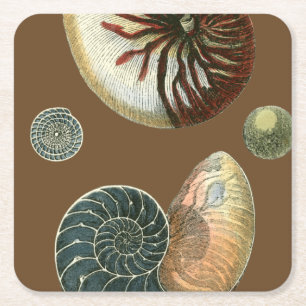 Dessous-de-verre Carré En Papier Cacao Shell