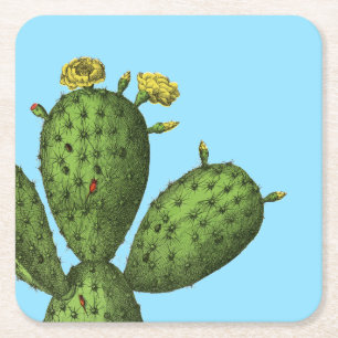 Dessous-de-verre Carré En Papier Cactus avec les fleurs jaunes