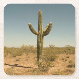 Dessous-de-verre Carré En Papier Cactus solitaire
