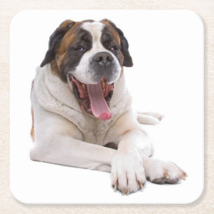 Dessous-de-verre Carré En Papier Cadeau mignon de Saint-Bernard pour amateur de chi