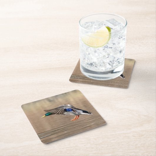 Dessous-de-verre Carré En Papier Canard Mallard en vol (En situation)