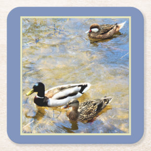 Dessous-de-verre Carré En Papier Canards