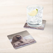 Dessous-de-verre Carré En Papier Carlin chiot Chien Bouddling dans une couverture d (En situation)