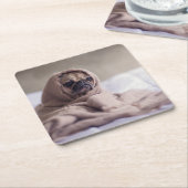 Dessous-de-verre Carré En Papier Carlin chiot Chien Bouddling dans une couverture d (Incliné)