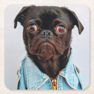 Dessous-de-verre Carré En Papier Carlin en Denim Jackey Cute Adorable Chien Chien C