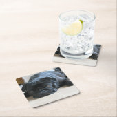 Dessous-de-verre Carré En Papier carlin noir plat (En situation)