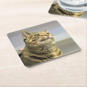 Dessous-de-verre Carré En Papier Cat (Incliné)