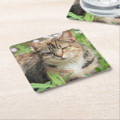 Dessous-de-verre Carré En Papier Cat (Incliné)