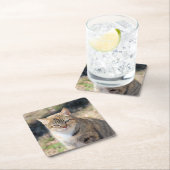 Dessous-de-verre Carré En Papier Cat (En situation)