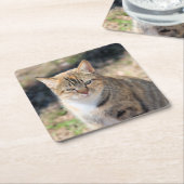 Dessous-de-verre Carré En Papier Cat (Incliné)