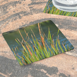 Dessous-de-verre Carré En Papier Cattails sur le lac photographique du bord de l'ea