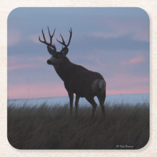 Dessous-de-verre Carré En Papier Cerf Mulet D3 Buck Sunrise