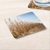 Dessous-de-verre Carré En Papier Champ de maïs en partie moissonné (Incliné)