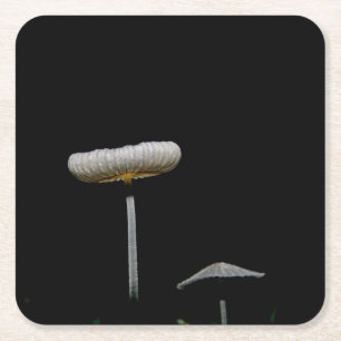Dessous-de-verre Carré En Papier Champignons