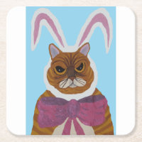 Chat en colère avec des oreilles de lapin