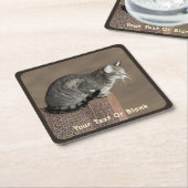 Dessous-de-verre Carré En Papier Chat Tabby Gris Fumé (Incliné)