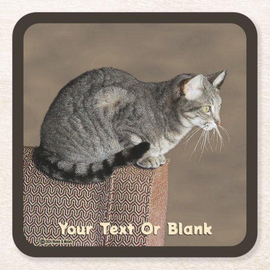 Dessous-de-verre Carré En Papier Chat Tabby Gris Fumé (Devant)