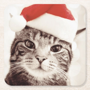 Dessous-de-verre Carré En Papier Chat tigré domestique utilisant le casquette roug