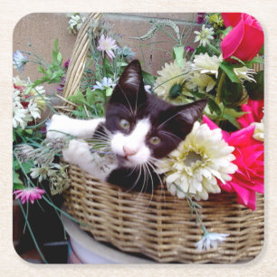Dessous-de-verre Carré En Papier Chaton dans un panier
