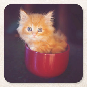 Dessous-de-verre Carré En Papier Chaton orange dans une tasse rouge
