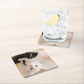 Dessous-de-verre Carré En Papier Chatons blancs et noirs (En situation)