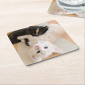 Dessous-de-verre Carré En Papier Chatons blancs et noirs (Incliné)