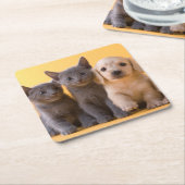 Dessous-de-verre Carré En Papier Chatons et chiots bleus russes de teckel (Incliné)