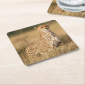 Dessous-de-verre Carré En Papier Cheetah on small mound for better visibility (Incliné)