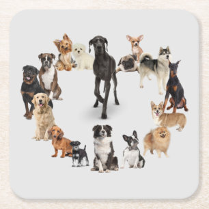 Dessous-de-verre Carré En Papier Chien amusant race Animaux de compagnie chien