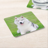 Dessous-de-verre Carré En Papier Chiot blanc sibérien Husky sur terrain vert d'herb (Incliné)