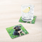 Dessous-de-verre Carré En Papier Chiot de berger allemand (En situation)