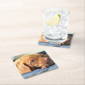 Dessous-de-verre Carré En Papier Chiot de Vizsla se reposant sur sa patte (En situation)