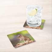 Dessous-de-verre Carré En Papier Chipmunk aux cacahuètes (En situation)