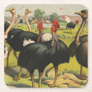 Dessous-de-verre Carré En Papier Cirque vintage Montrant Des Ostriches Et De Grands